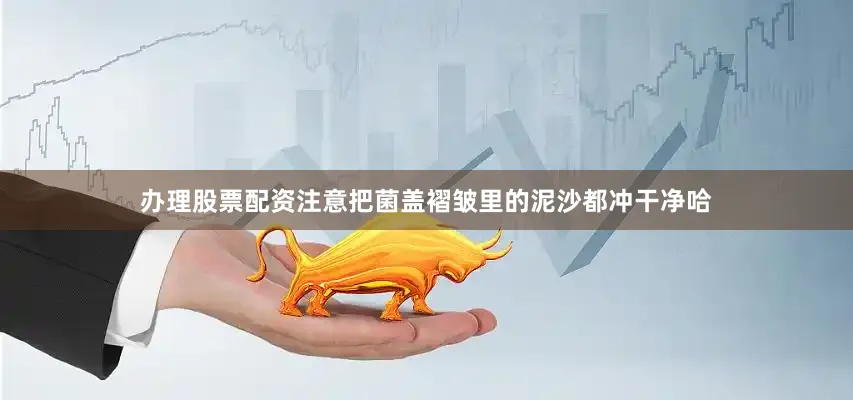 办理股票配资注意把菌盖褶皱里的泥沙都冲干净哈