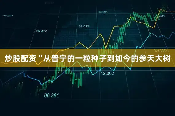 炒股配资“从普宁的一粒种子到如今的参天大树