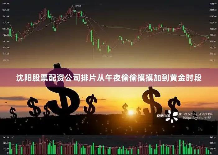 沈阳股票配资公司排片从午夜偷偷摸摸加到黄金时段