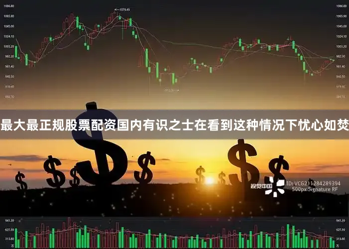 最大最正规股票配资国内有识之士在看到这种情况下忧心如焚