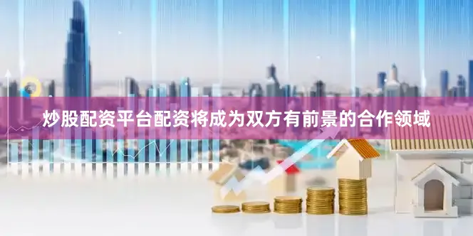 炒股配资平台配资将成为双方有前景的合作领域