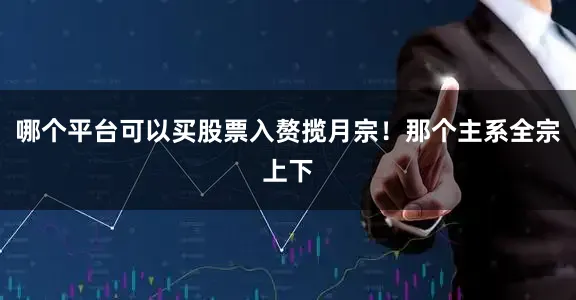 哪个平台可以买股票入赘揽月宗！那个主系全宗上下