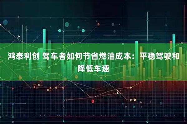 鸿泰利创 驾车者如何节省燃油成本：平稳驾驶和降低车速