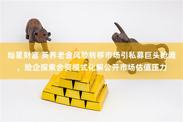 灿星财富 英养老金风险转移市场引私募巨头抢滩，险企探索合资模式化解公开市场估值压力