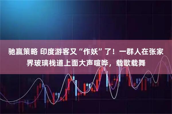 驰赢策略 印度游客又“作妖”了！一群人在张家界玻璃栈道上面大声喧哗，载歌载舞