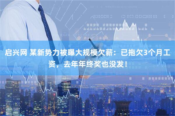 启兴网 某新势力被曝大规模欠薪：已拖欠3个月工资，去年年终奖也没发！